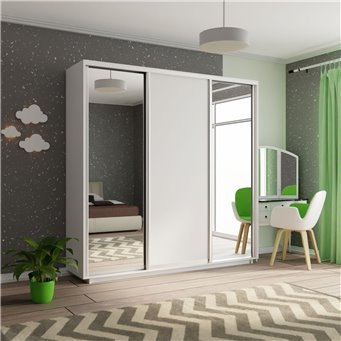 Шкаф-купе Экспресс Зеркало/ДСП/Зеркало, 210х60х220 Белый снег